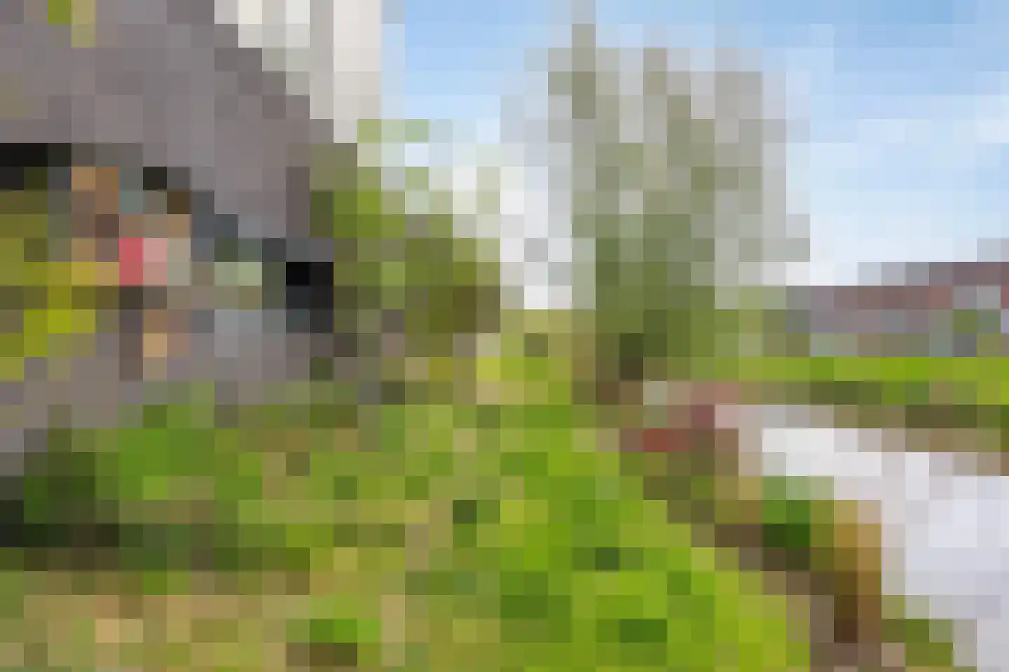 Sleeuwijkerf 9 Tilburg thumbnail 88
