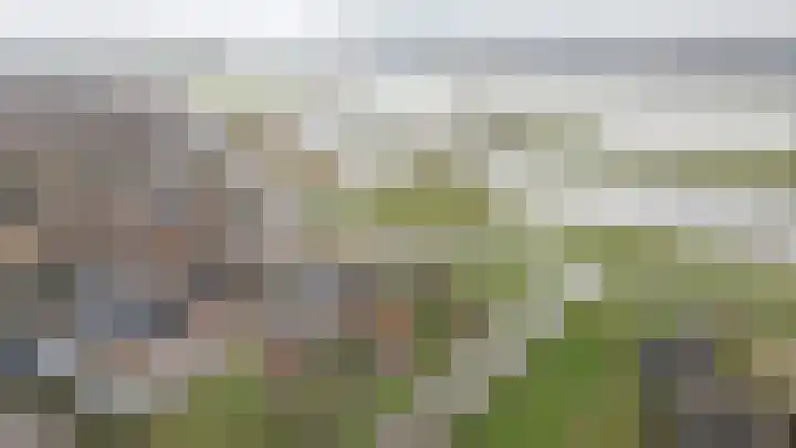Sleeuwijksedijk 103 Werkendam thumbnail 4