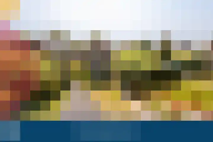 Sleeuwijksedijk 19 Werkendam thumbnail 5