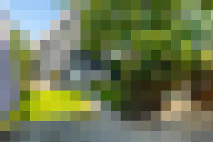 Sleeuwijksedijk 19 Werkendam thumbnail 50