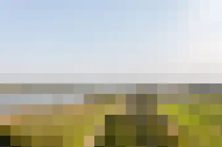 Sleeuwijksedijk 19 Werkendam thumbnail 53