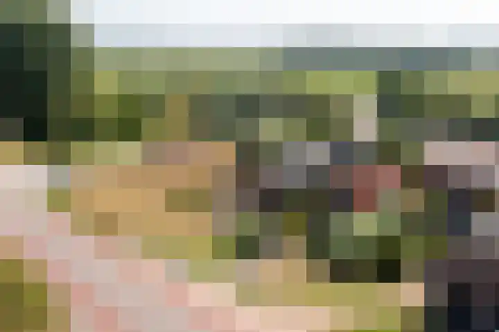 Sleeuwijksedijk 19 Werkendam thumbnail 55