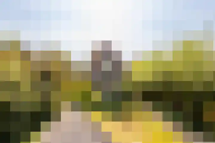 Sleeuwijksedijk 19 Werkendam thumbnail 6