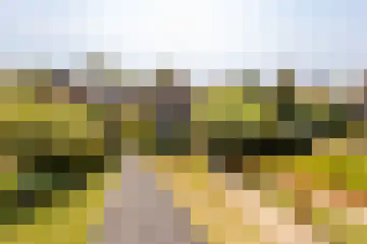 Sleeuwijksedijk 19 Werkendam thumbnail 67