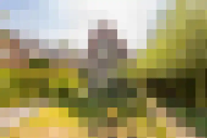 Sleeuwijksedijk 19 Werkendam thumbnail 7