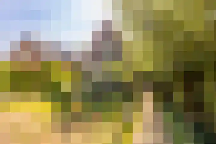 Sleeuwijksedijk 19 Werkendam thumbnail 8