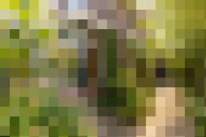 Sleeuwijksedijk 19 Werkendam thumbnail 9