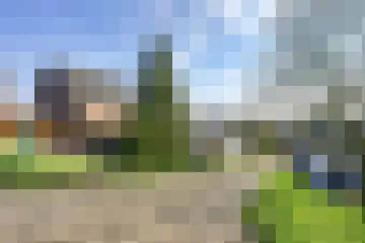 Sleeuwijksedijk 22 Werkendam thumbnail 5