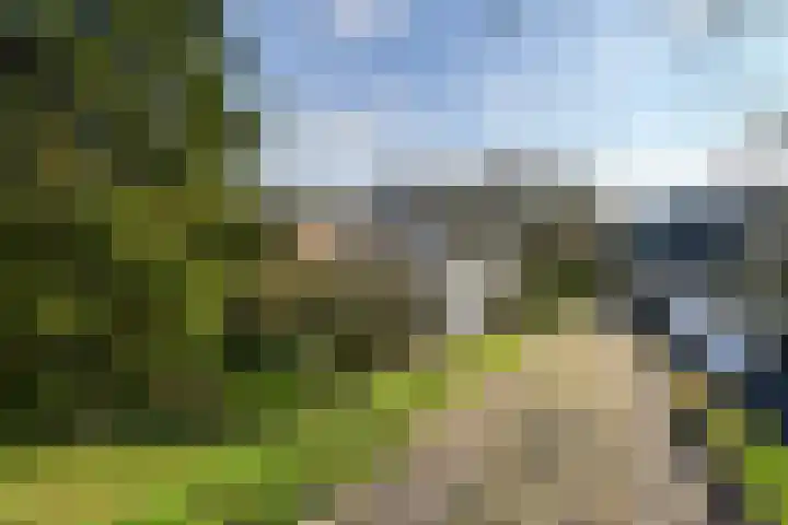 Sleeuwijksedijk 22 Werkendam thumbnail 6