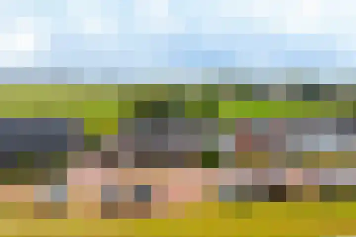 Sleeuwijksedijk 43 Werkendam thumbnail 30