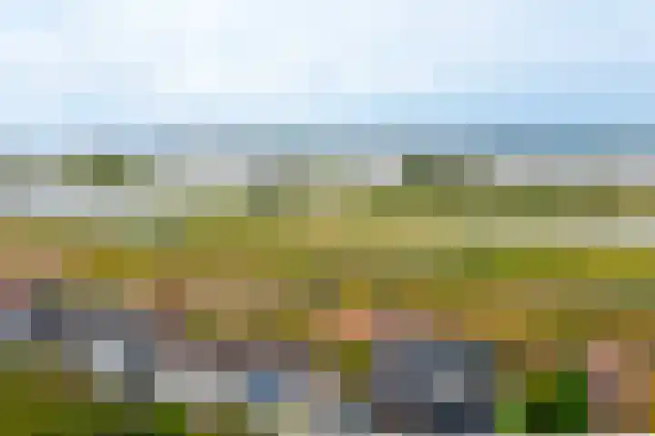 Sleeuwijksedijk 43 Werkendam thumbnail 33