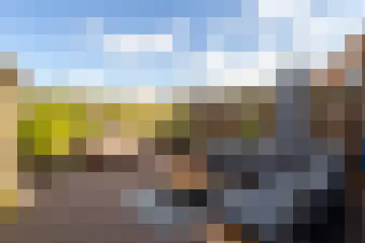 Sleeuwijksedijk 43 Werkendam thumbnail 4