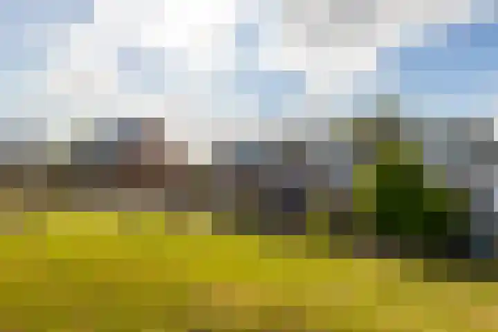 Sleeuwijksedijk 43 Werkendam thumbnail 6