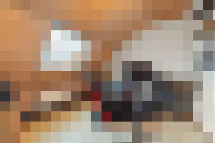 Sleeweg 1 Heijen thumbnail 28