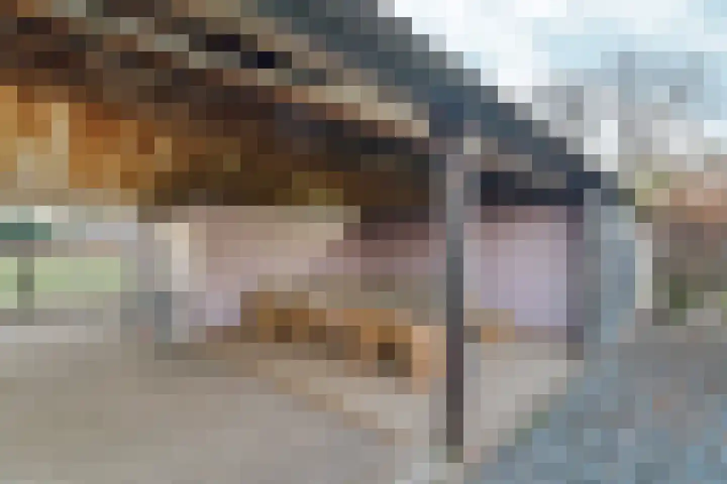 Sleeweg 1 Heijen thumbnail 38