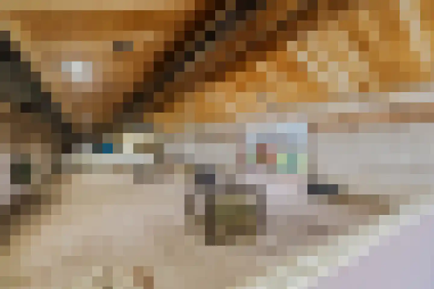 Sleeweg 1 Heijen thumbnail 48