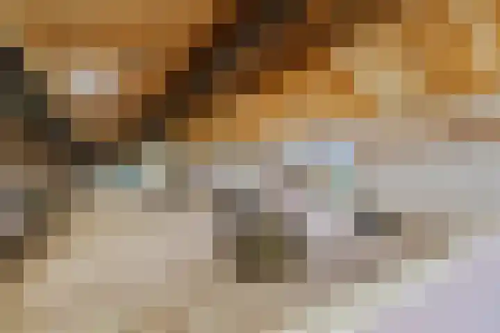Sleeweg 1 Heijen thumbnail 48