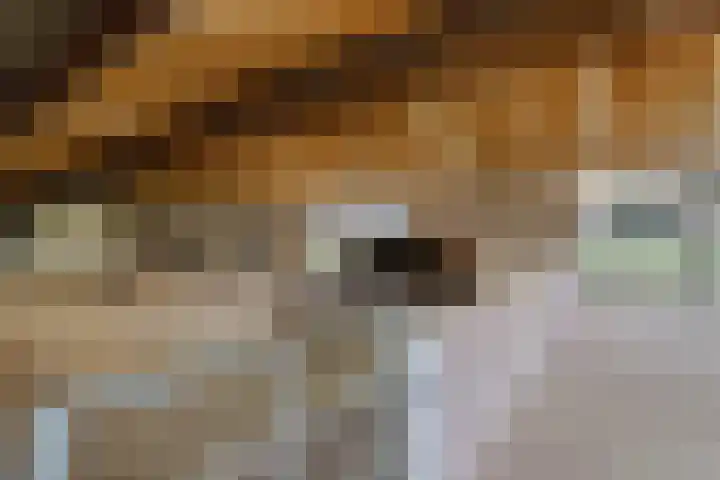 Sleeweg 1 Heijen thumbnail 5