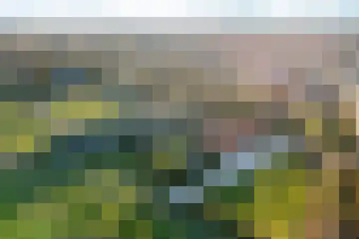 Sleeweg 1 Heijen thumbnail 53