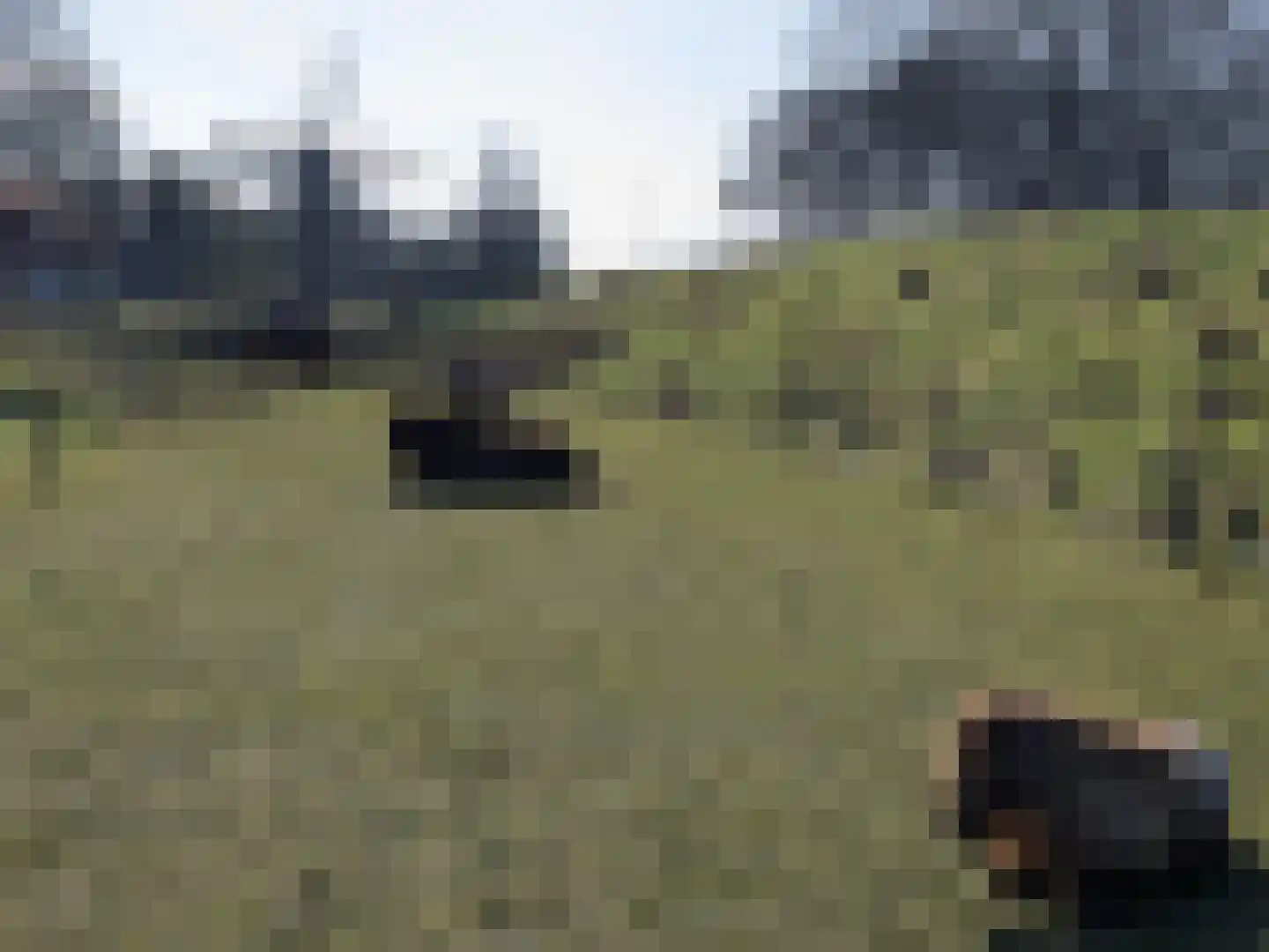 Sleeweg 1 Heijen thumbnail 57