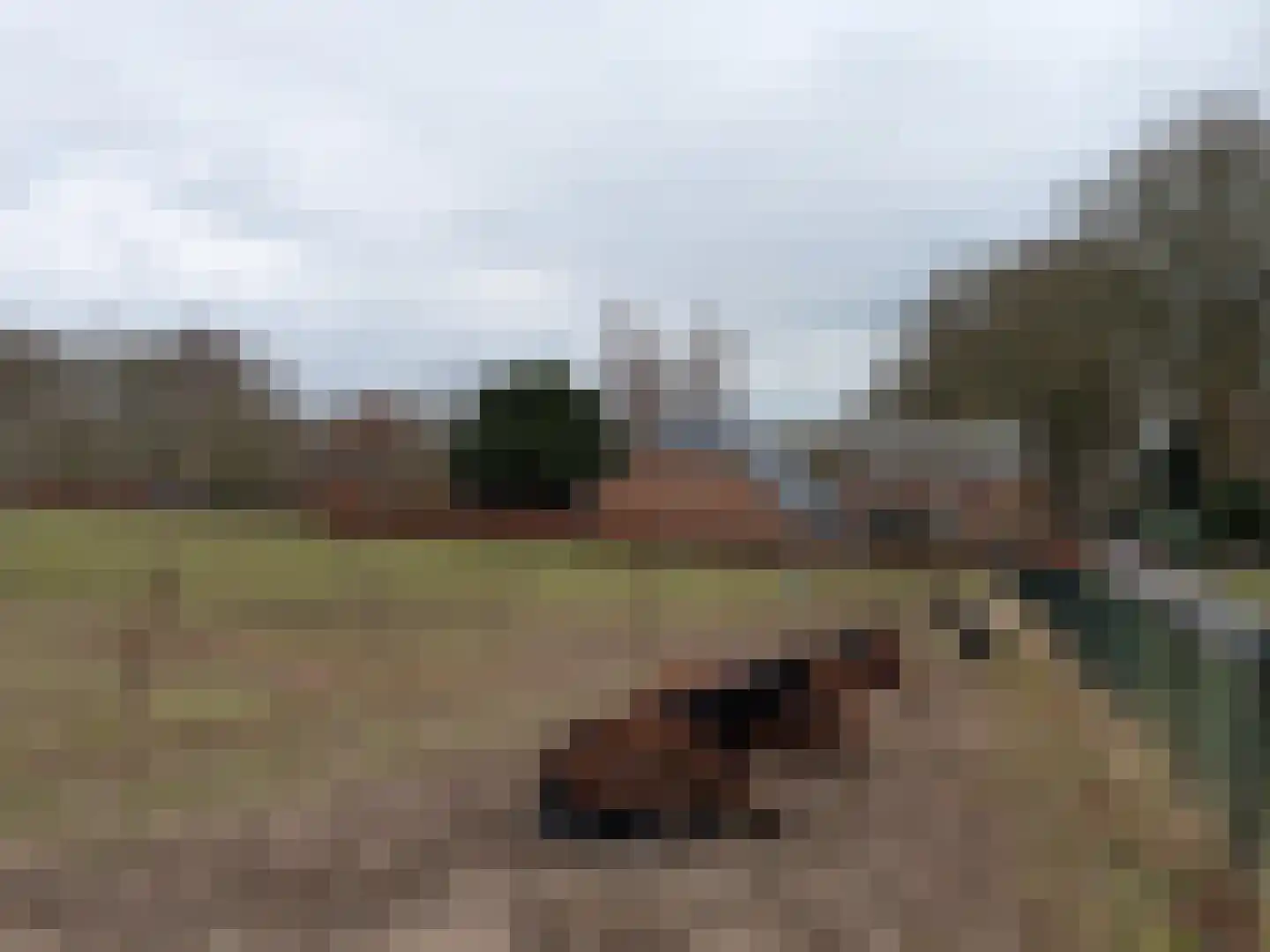 Sleeweg 1 Heijen thumbnail 60