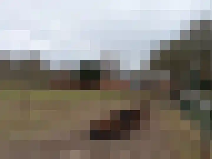 Sleeweg 1 Heijen thumbnail 60