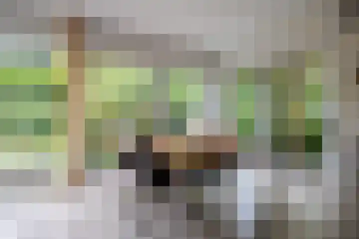 Sleeweg 10 Heijen thumbnail 13