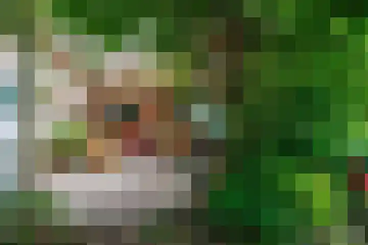 Sleeweg 10 Heijen thumbnail 40