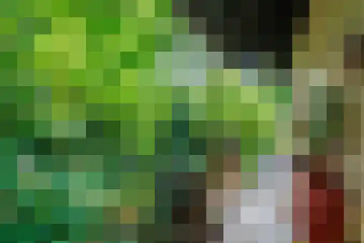 Sleeweg 10 Heijen thumbnail 41