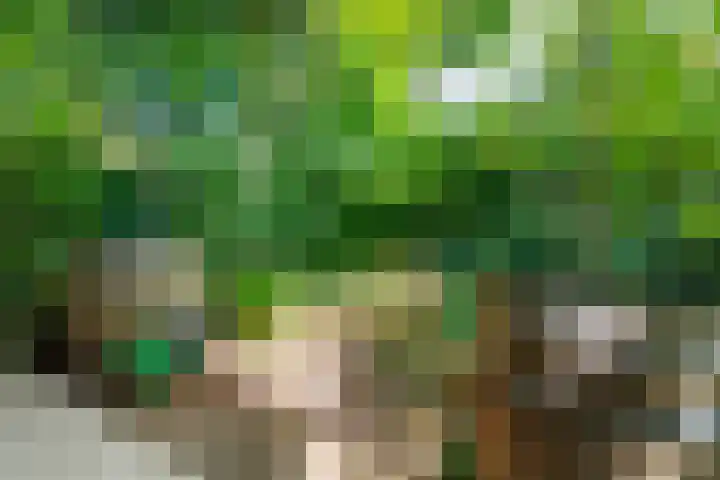 Sleeweg 10 Heijen thumbnail 43