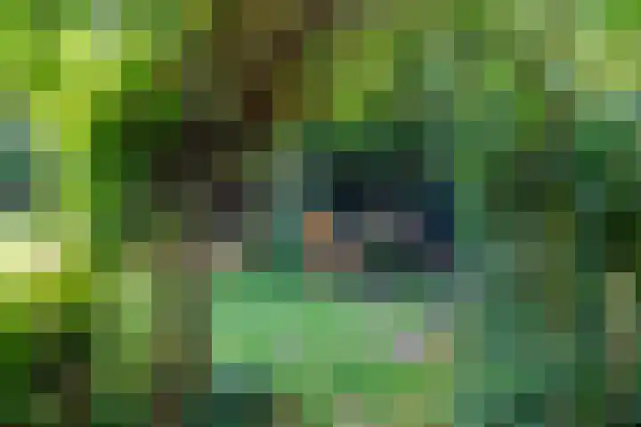 Sleeweg 10 Heijen thumbnail 44