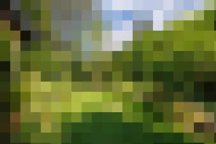 Sleeweg 10 Heijen thumbnail 45