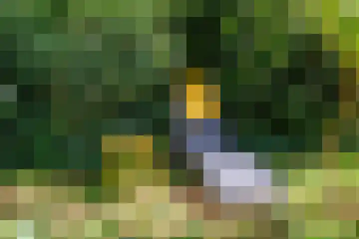 Sleeweg 10 Heijen thumbnail 46