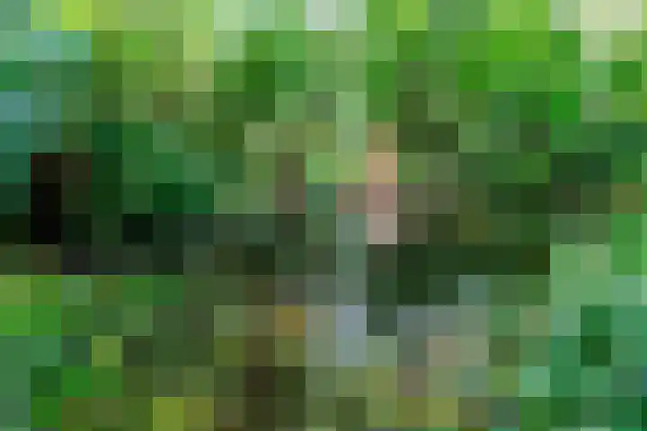 Sleeweg 10 Heijen thumbnail 54