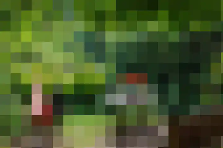 Sleeweg 10 Heijen thumbnail 55