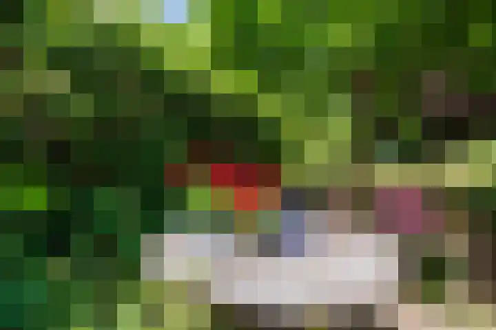 Sleeweg 10 Heijen thumbnail 56