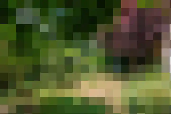 Sleeweg 10 Heijen thumbnail 57