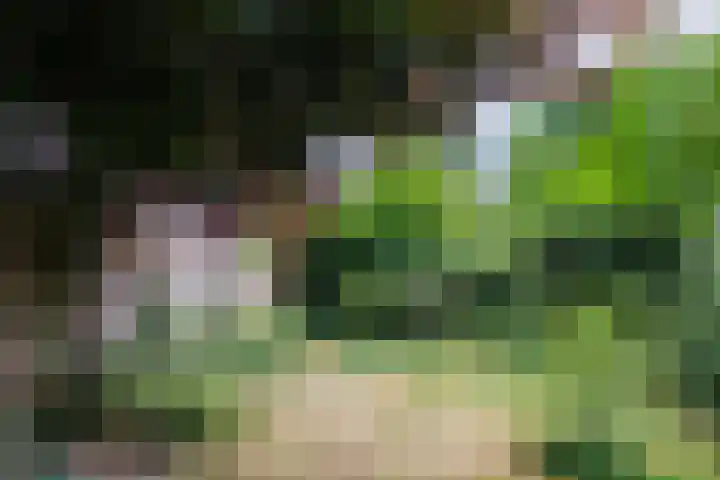 Sleeweg 10 Heijen thumbnail 59