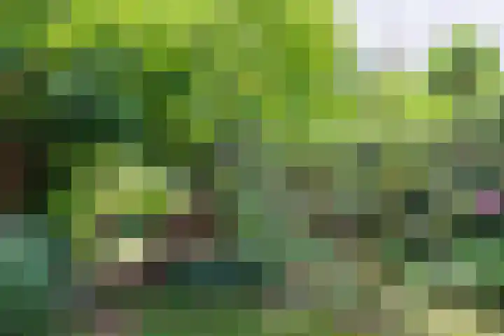 Sleeweg 10 Heijen thumbnail 60