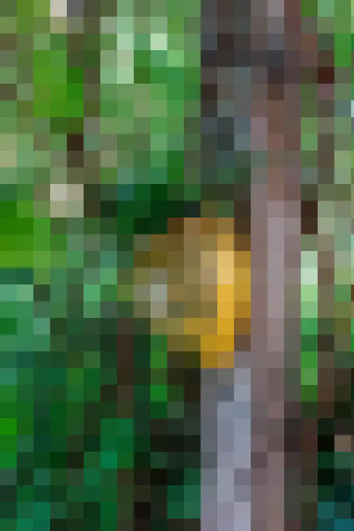 Sleeweg 10 Heijen thumbnail 61