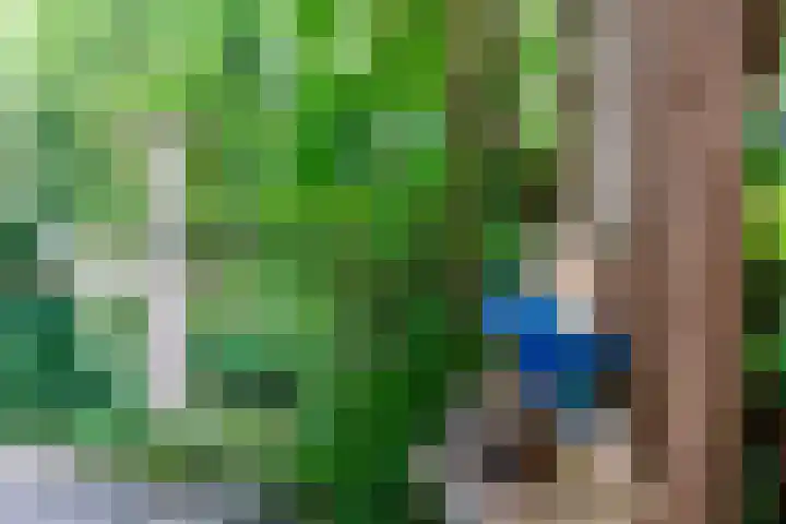 Sleeweg 10 Heijen thumbnail 62