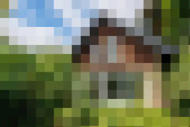Sleeweg 10 Heijen thumbnail 63