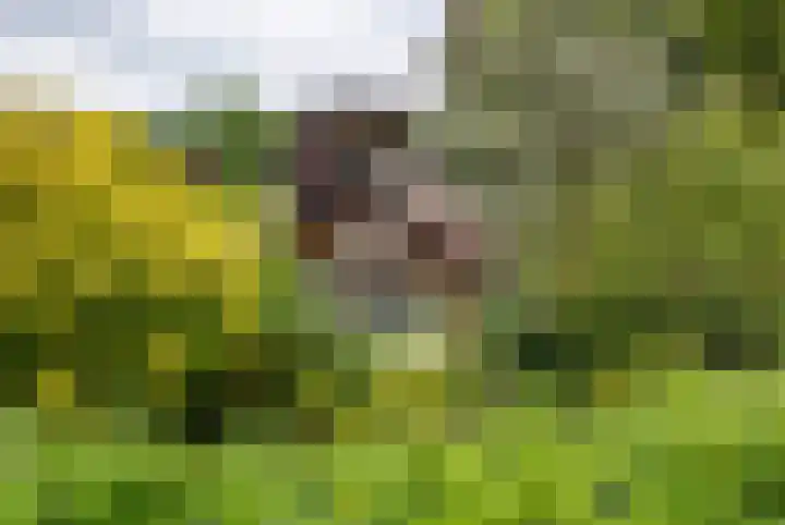 Sleeweg 10 Heijen thumbnail 64