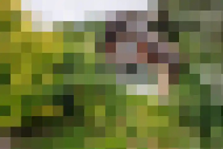 Sleeweg 10 Heijen thumbnail 65