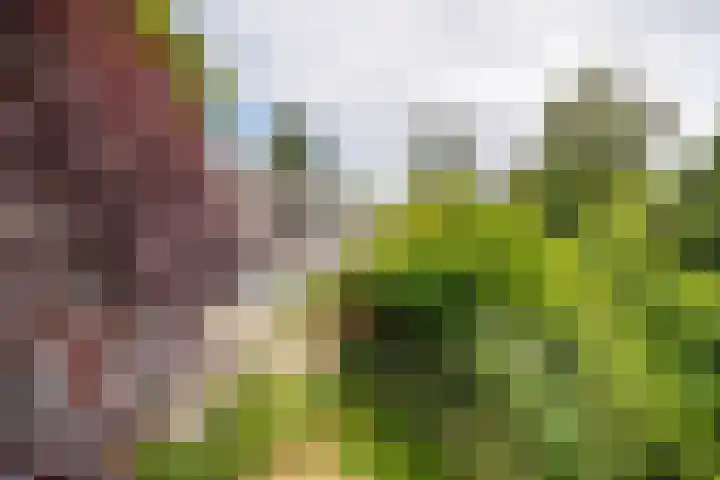 Sleeweg 10 Heijen thumbnail 66