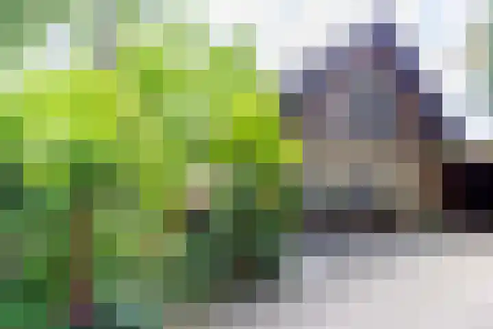 Sleeweg 10 Heijen thumbnail 67