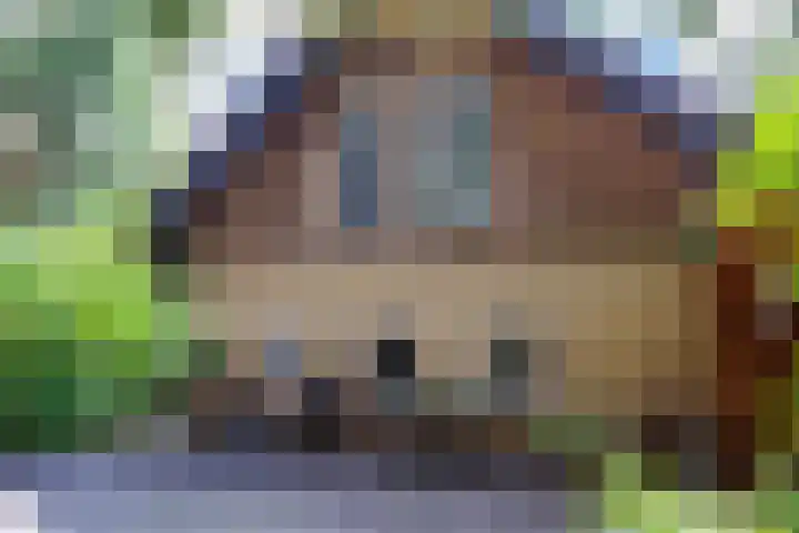 Sleeweg 10 Heijen thumbnail 70