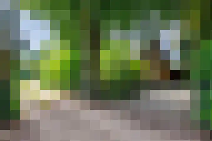 Sleeweg 10 Heijen thumbnail 72
