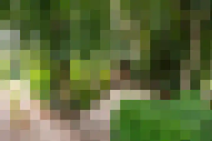 Sleeweg 10 Heijen thumbnail 73