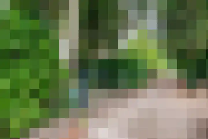 Sleeweg 10 Heijen thumbnail 74